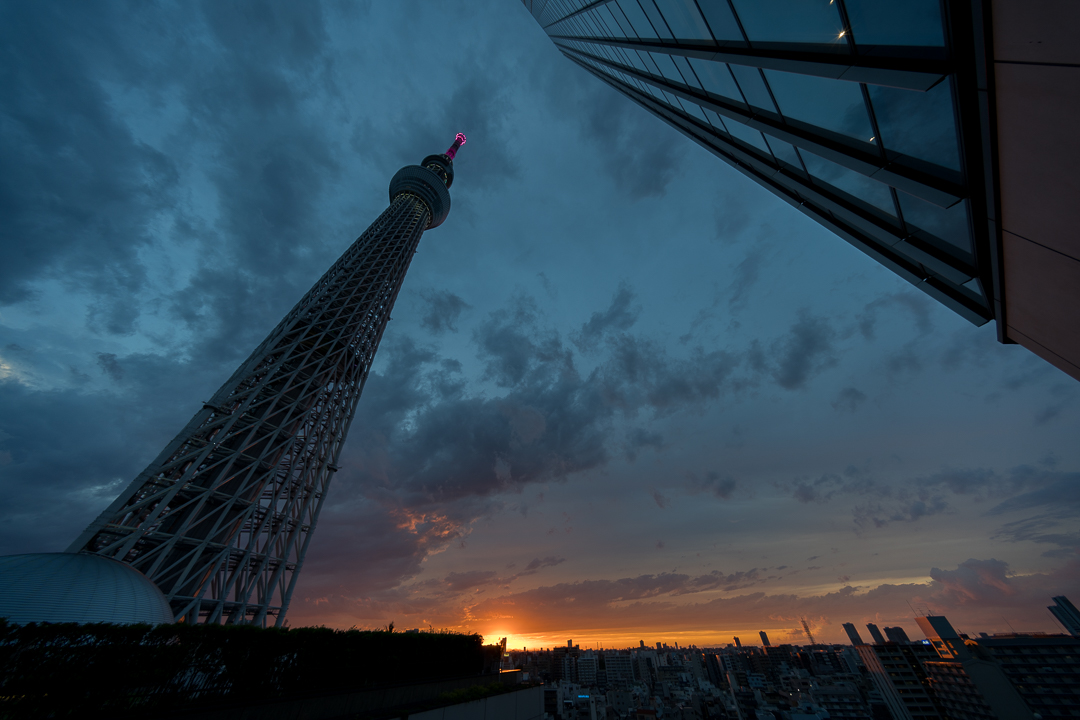 skytree