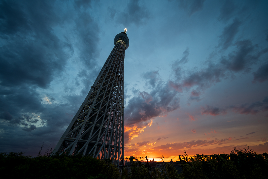 skytree