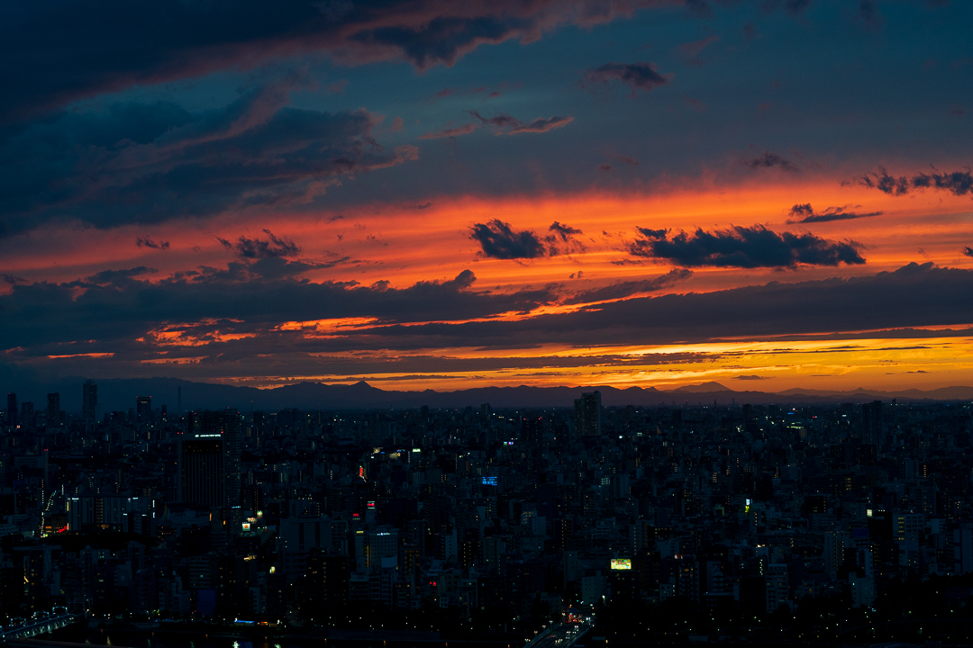 skytree