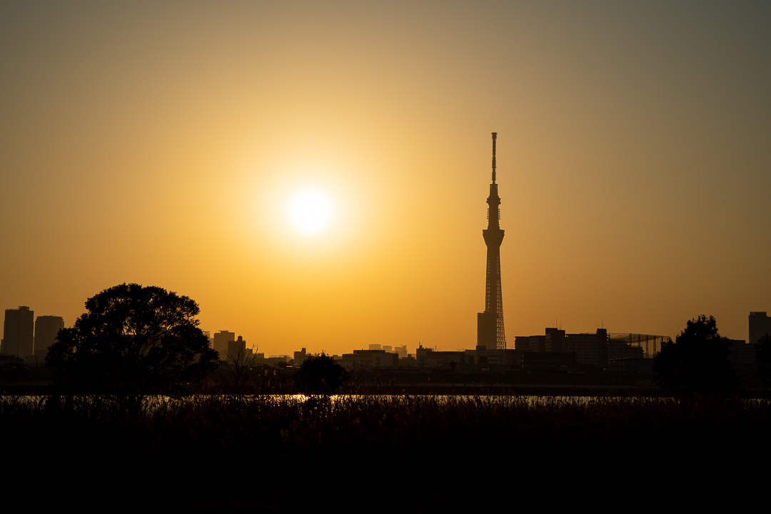 skytree