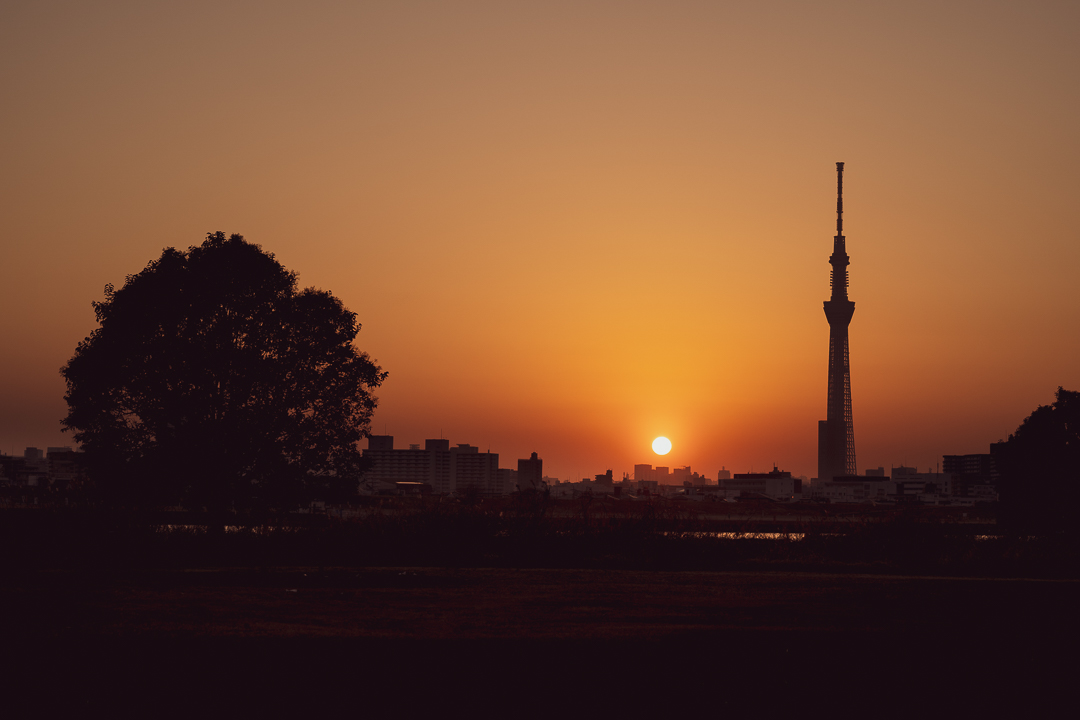 skytree