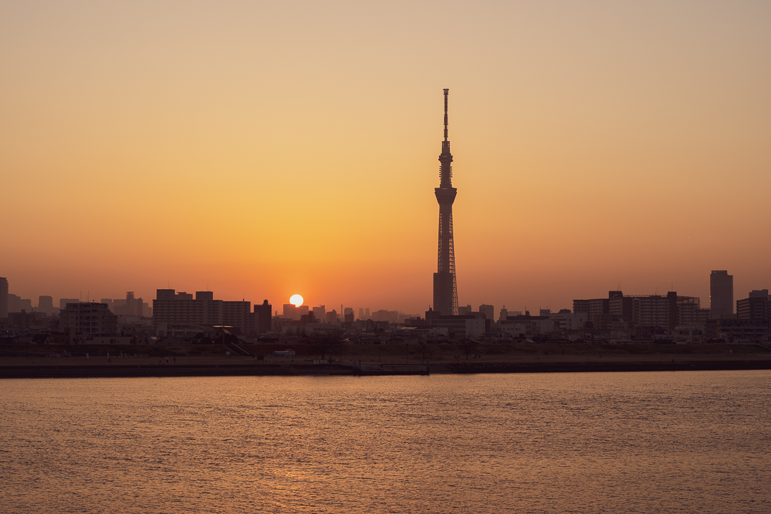 skytree