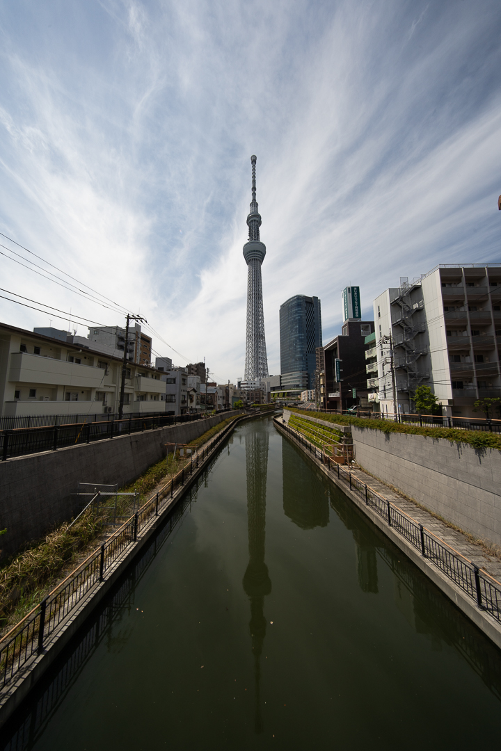 skytree